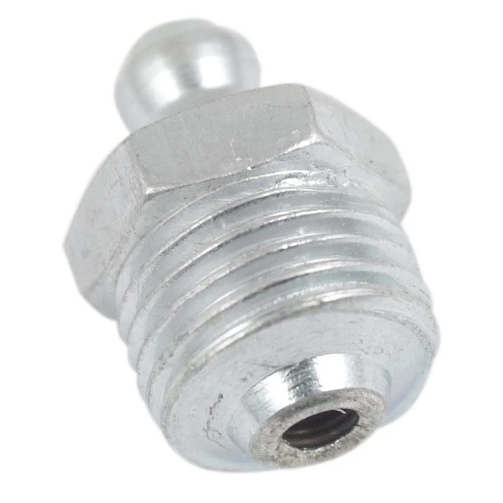 Graxeira Reta 10 X 1 1480 Bremen